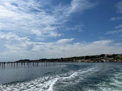 Promenade en bateau sur l'étang de Thau