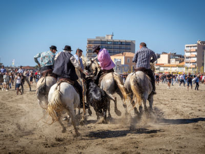 FÉRIA D