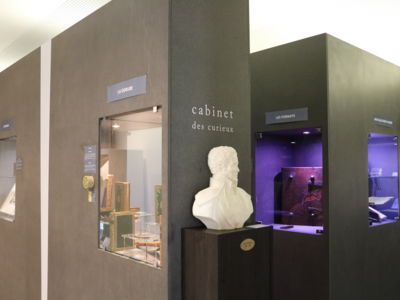 Musée Médard_cabinet des curiosités
