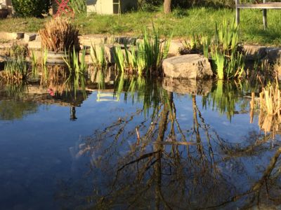 BASSIN DE FILTRATION
