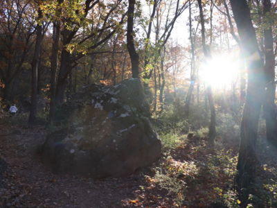 Site d'escalade Les Salces2