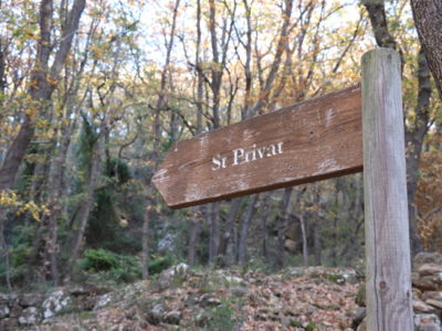 Site d'escalade Les Salces1