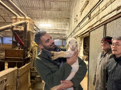 Immersion dans une ferme du Larzac