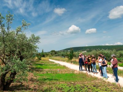 FASCINANT WEEKEND - VISITE GOURMANDE SUR LES CHEMINS DE L