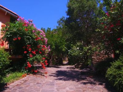 Jardin del Sud - Juillet 26 (4)