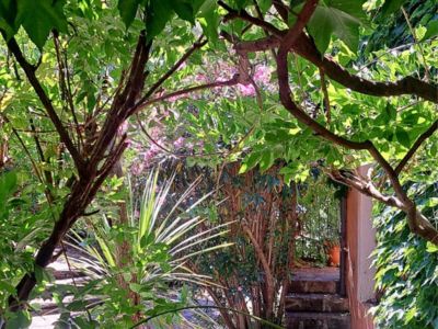 Jardin del Sud - Juillet 26 (6)