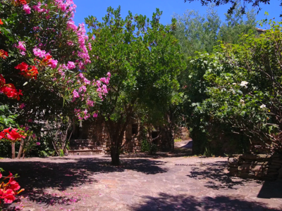 Jardin del sud - Juillet 2026 (1)