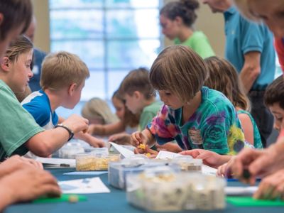 Kidscollaborating