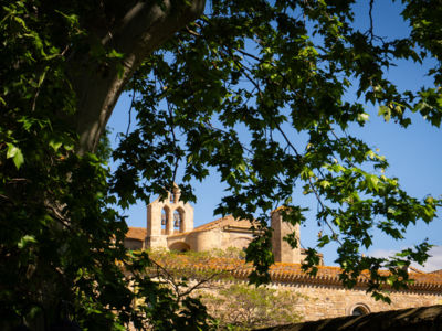 Abbaye Sainte-Marie de Valmagne