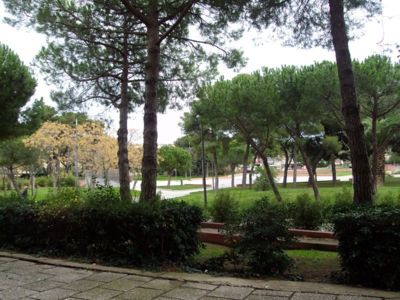 LOCATION-BALARUC-LES-BAINS-20-RESIDENCE-DU-PARC--BARROSO-ROSE-MARIE---20-
