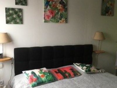 LOCATION BALARUC-LES-BAINS 36 AVENUE DE LA GARE