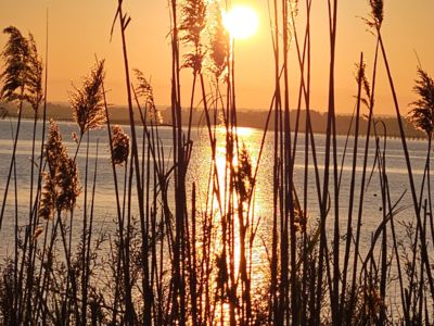 LOCATION BALARUC LES BAINS RESIDENCE NAIADES 2 FARRUGIA MIREILLE (4)