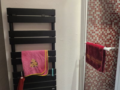 LOCATION BALARUC LES BAINS RESIDENCE VENDEMIAIRE SAUSSAYE CATHERINE (5)