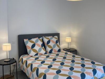 LOCATION BALARUC LES BAINS RUE DE L'ESPLANADE ANDRE PIERRETTE (6)