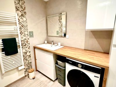 LOCATION BALARUC LES BAINS SPHYNX DE THAU BOUE FLORENT (12)