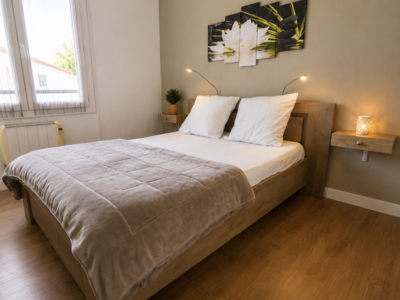LOCATION BALARUC LES BAINS VILLA DU LAC 1 (11)
