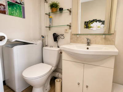 LOCATION BALARUC LES BAINS VILLA DU LAC 1 (9)