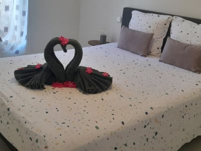 LOCATION SETE ETOILE DE MER MARCASTEL GISELE (1)