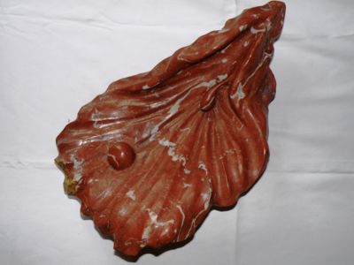 Coquillage. Marbre rouge de Caunes Minervois. Jean Michel Lafitte