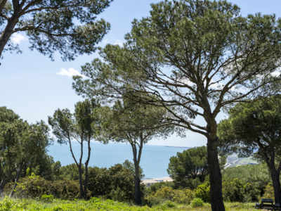 La vue la mesa les pierres blanches_sete_OCF1911