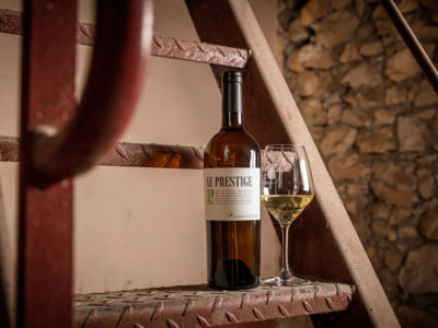 les collines du bourdic - Saint Maximin