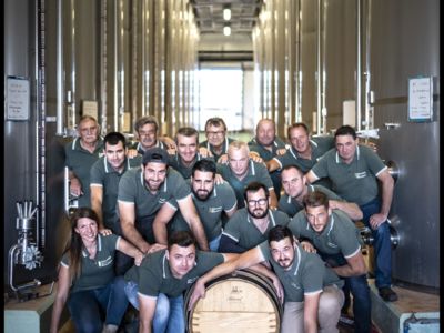 Les Collines du Bourdic vignerons chai des vins blancs de Pierre-Emmanuel COSTE