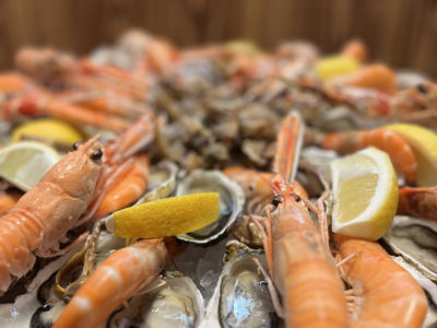 Les-Grands-Vins-du-Terroir-BORT-Patrice-_3_