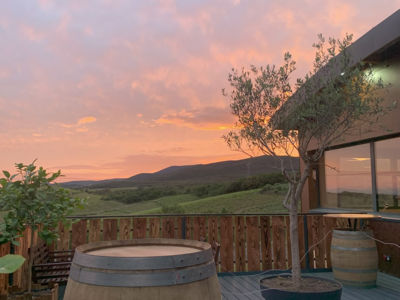 Les-Grands-Vins-du-Terroir-BORT-Patrice-_6_