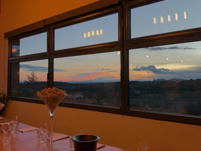 Les-Grands-Vins-du-Terroir-BORT-Patrice