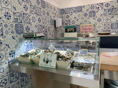 Les-Grands-Vins-du-Terroir-BORT-PatriceIMG_2645