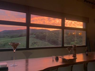 Les Grands Vins du Terroir BORT PatriceIMG_2740