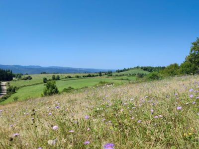 Les_Monts_de_l_Escandorgues_vue_nord_-_E_Brendle