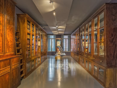 Musée Médard_Bibliothèque