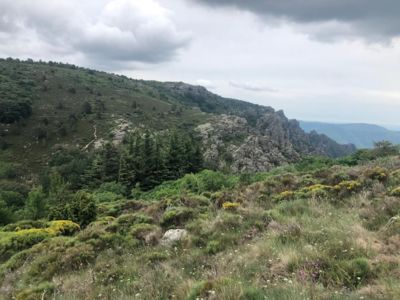 MASSIF-DU-CAROUX