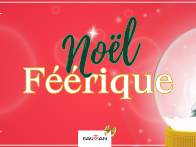 NOËL FÉÉRIQUE Du 13 au 14 déc 2024