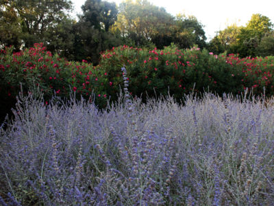 Margon_jardin_6