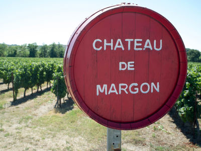 Margon_vignes_1