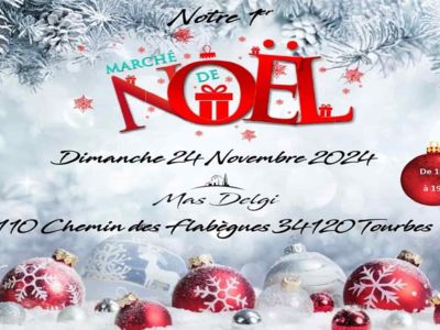 MARCHÉ DE NOËL AU MAS DELGI Le 24 nov 2024