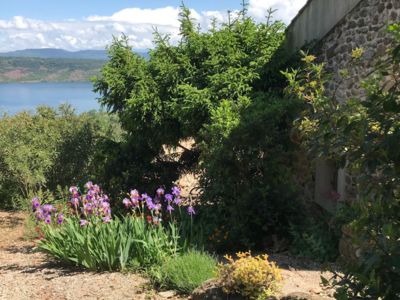 Mas du LAC jardin
