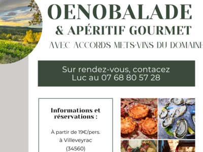 DOMAINE LES 3 MAZETS - AFFICHE OENOBALADE