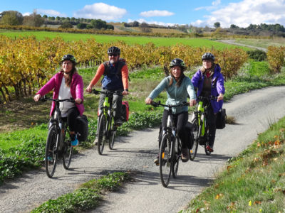 Oenovelo_Saint_Chinian_au_Canal_du_Midi_Vignoble_Quarante_-_