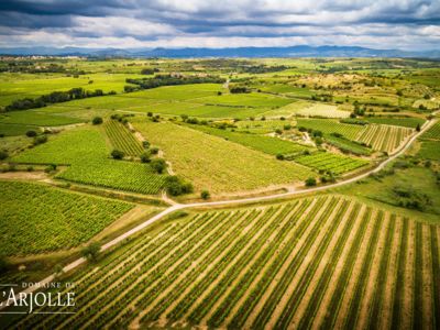 Le paysage des Côtes de Thongue