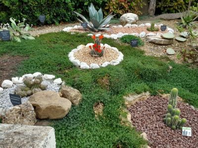 Partie haute du jardin (2)