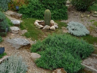 Partie haute du jardin (3)