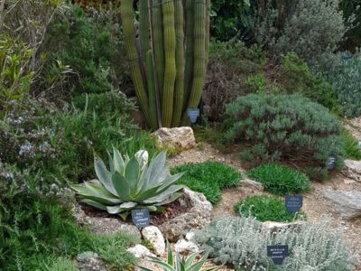 Partie haute du jardin