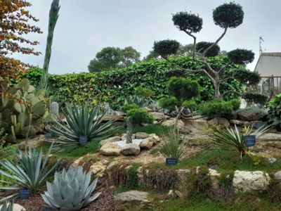 Partie inférieure du jardin