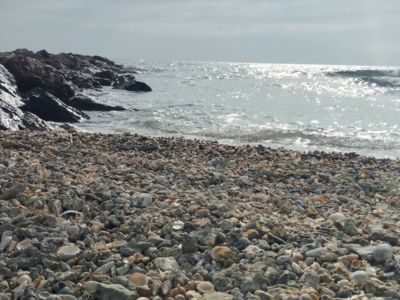 Visites commentées de Frontignan avec Divers Uni Vers