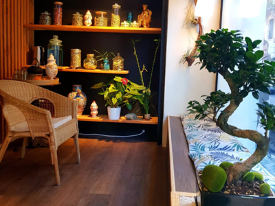 entrée hippocrates montpellier