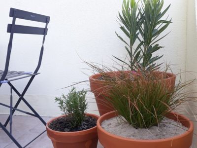 ROCHETTE REMY - STUDIO 1 ETOILE - MARSEILLAN (2)