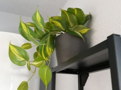 ROCHETTE REMY - STUDIO 1 ETOILE - MARSEILLAN (8)